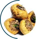 &Iacute;cone: Maca peruana